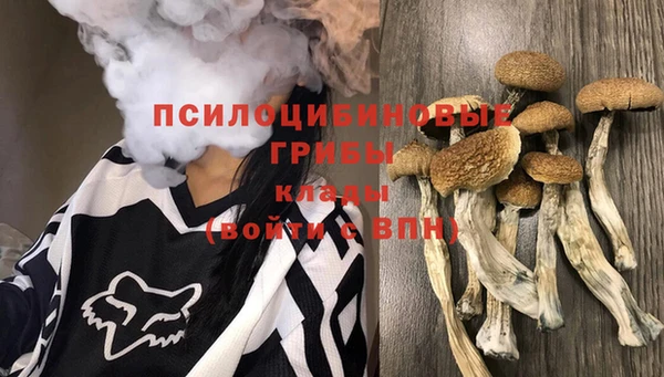 мескалин Медногорск