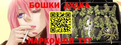 молекула духа Комсомольск-на-Амуре