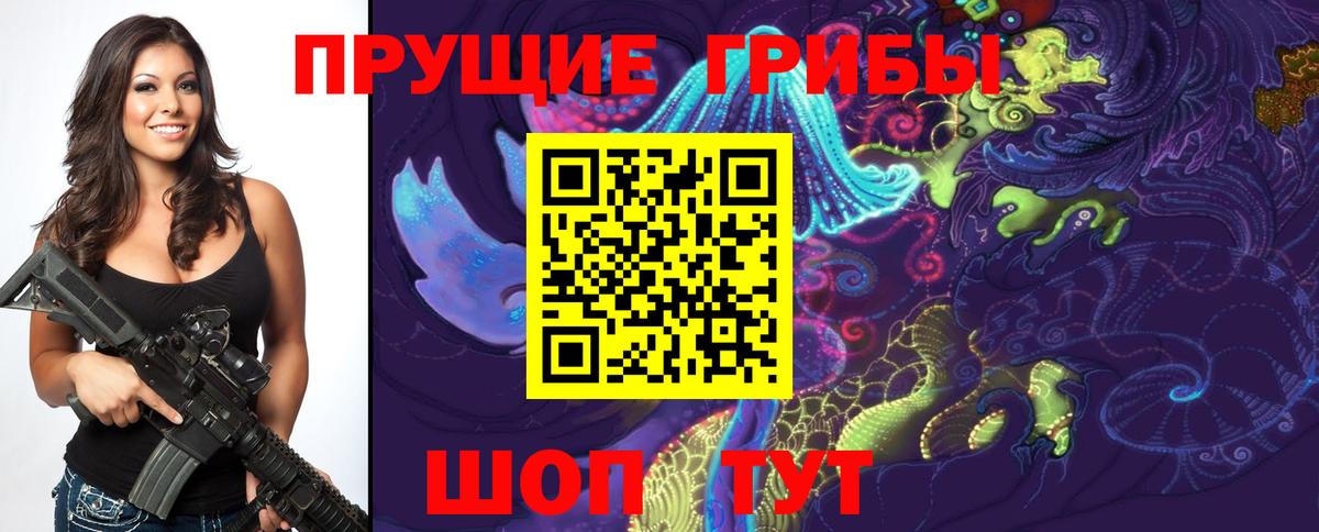 Псилоцибиновые грибы GOLDEN TEACHER  Галлюциногенные грибы мицелий  Вход с VPN  Новокубанск 